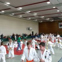 Judo Schwentinecup 2015